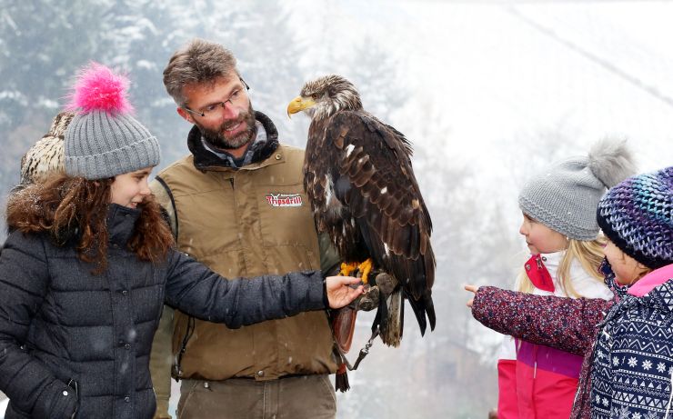 Zur Tierweihnacht nach Tripsdrill